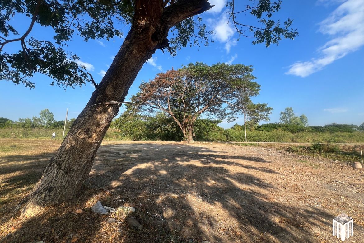 Property id208ls Land for sale in San Sai 3-1-72 sq.wa  near Meajo University-MR-208LS