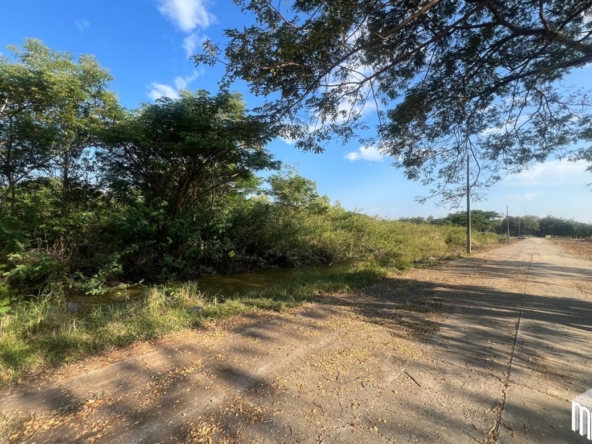 Property id208ls Land for sale in San Sai 3-1-72 sq.wa  near Meajo University-MR-208LS