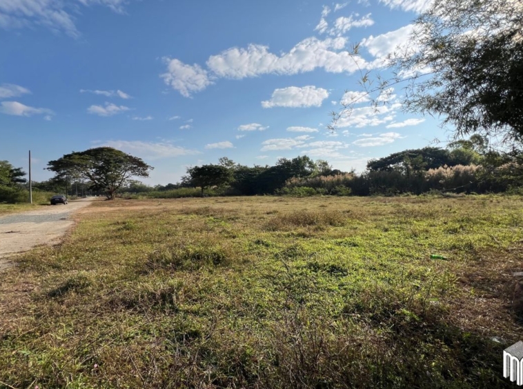 Property id208ls Land for sale in San Sai 3-1-72 sq.wa  near Meajo University-MR-208LS