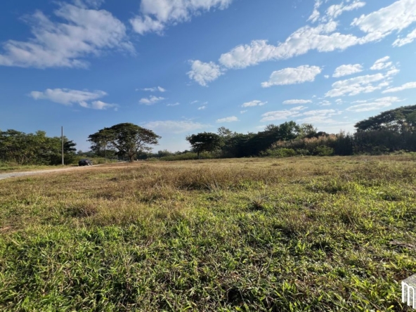 Property id208ls Land for sale in San Sai 3-1-72 sq.wa  near Meajo University-MR-208LS