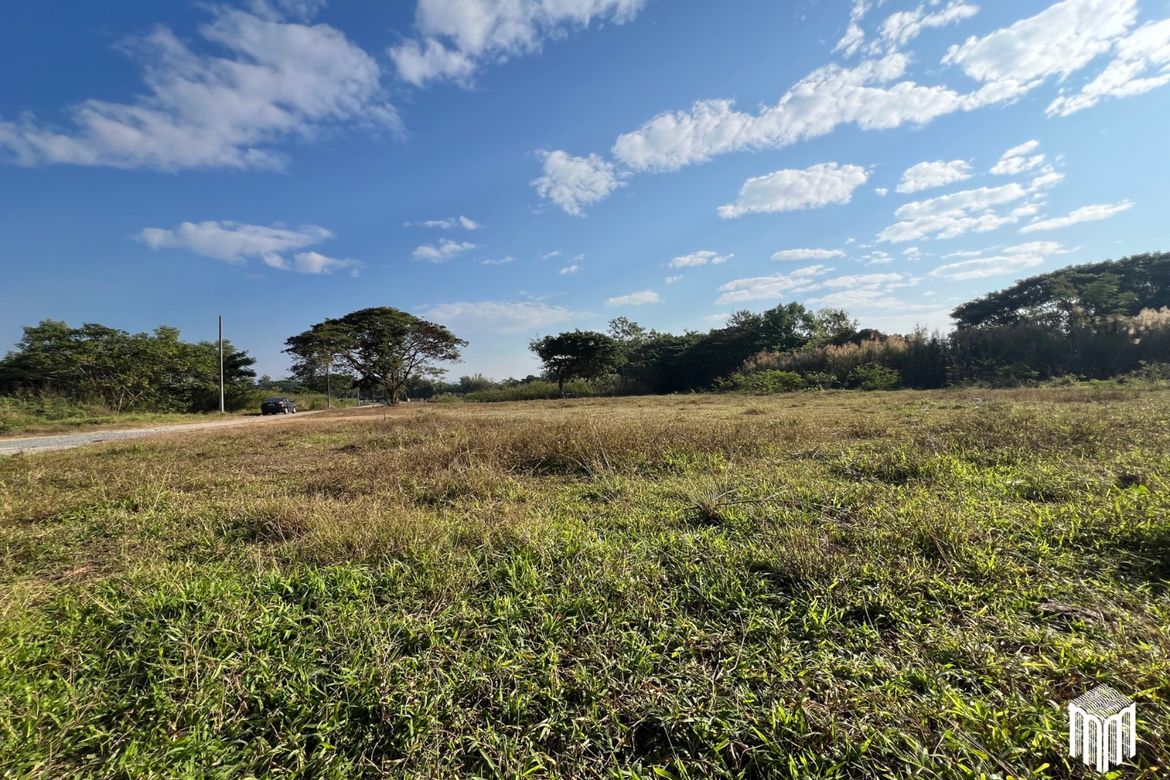 Property id208ls Land for sale in San Sai 3-1-72 sq.wa  near Meajo University-MR-208LS