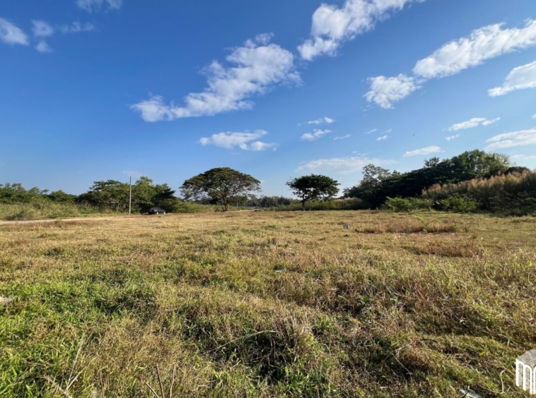 Property id208ls Land for sale in San Sai 3-1-72 sq.wa  near Meajo University-MR-208LS