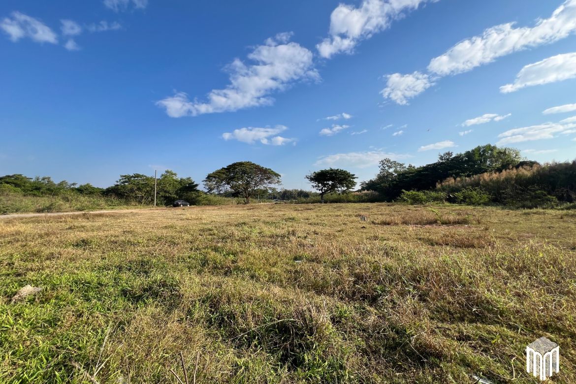 Property id208ls Land for sale in San Sai 3-1-72 sq.wa  near Meajo University-MR-208LS