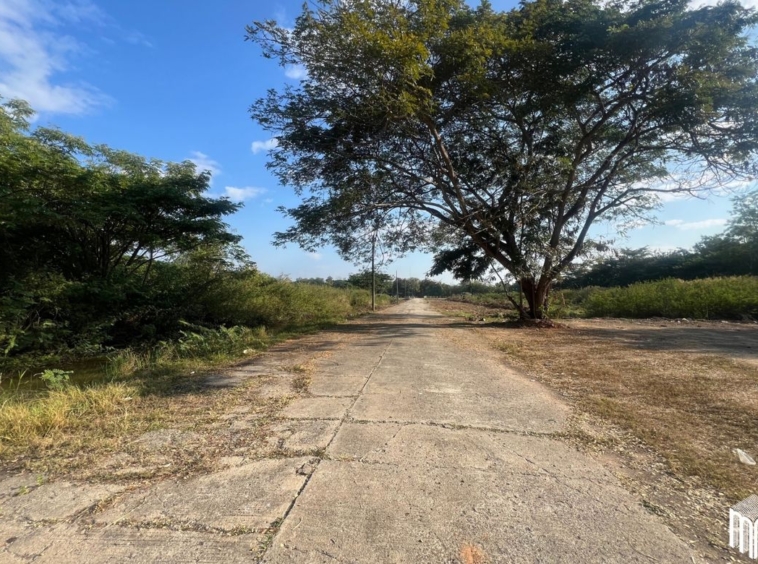 Property id208ls Land for sale in San Sai 3-1-72 sq.wa  near Meajo University-MR-208LS