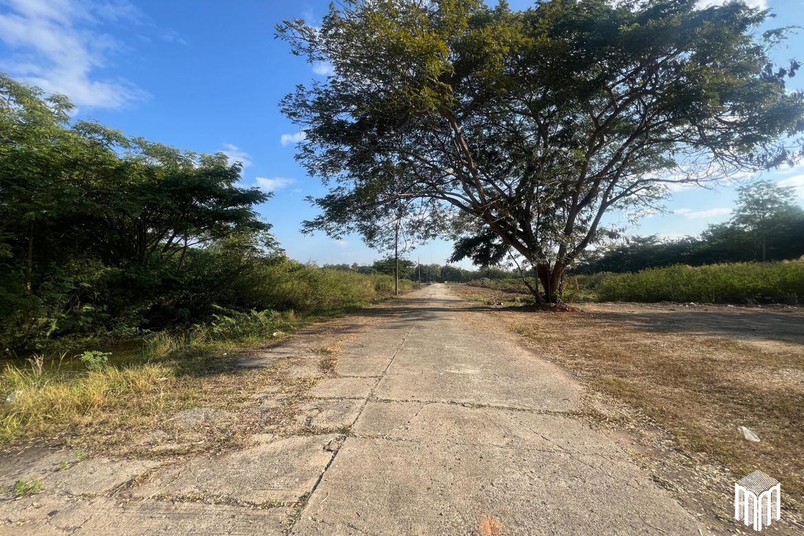 Property id208ls Land for sale in San Sai 3-1-72 sq.wa  near Meajo University-MR-208LS