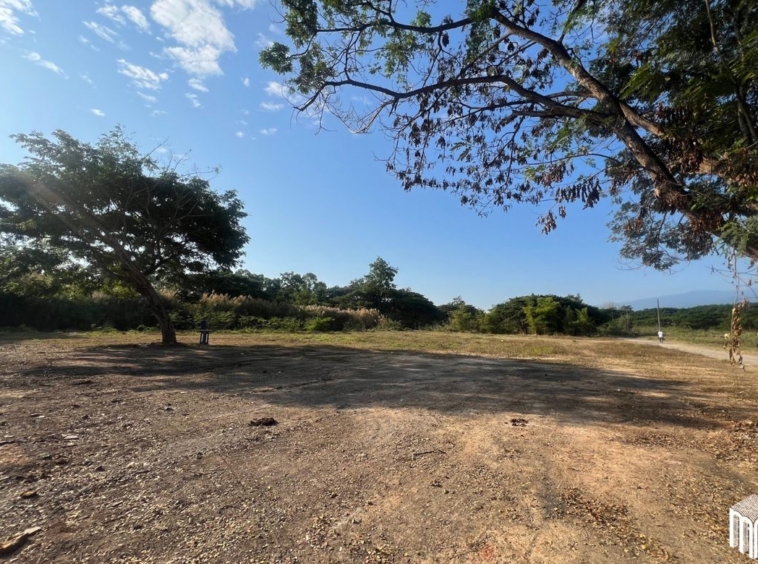 Property id208ls Land for sale in San Sai 3-1-72 sq.wa  near Meajo University-MR-208LS