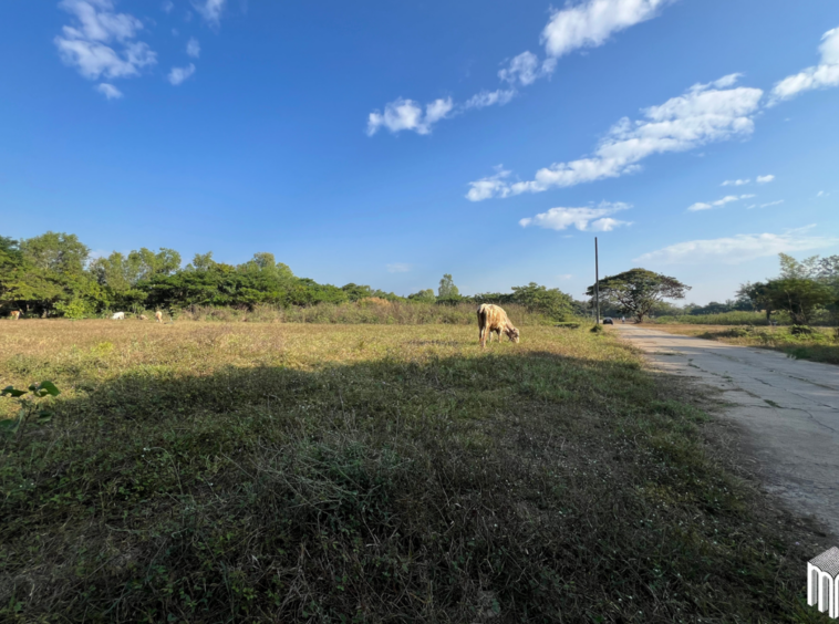 Property id208ls Land for sale in San Sai 1-1-65 sq.wa  near Meajo University-MR-209LS