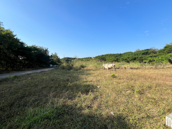 Property id208ls Land for sale in San Sai 1-1-65 sq.wa  near Meajo University-MR-209LS