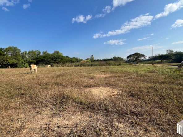 Property id208ls Land for sale in San Sai 1-1-65 sq.wa  near Meajo University-MR-209LS