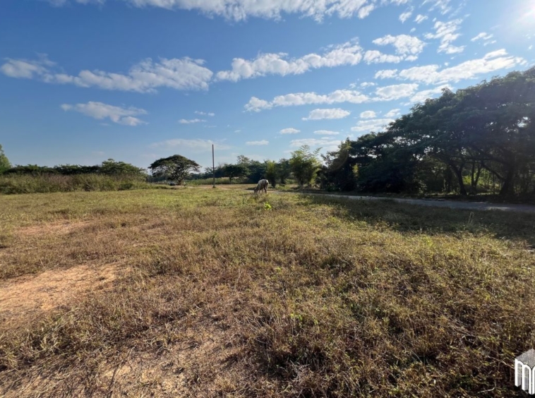 Property id208ls Land for sale in San Sai 1-1-65 sq.wa  near Meajo University-MR-209LS