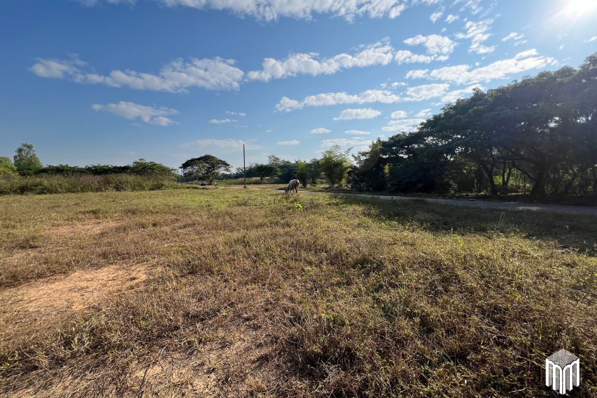 Property id208ls Land for sale in San Sai 1-1-65 sq.wa  near Meajo University-MR-209LS