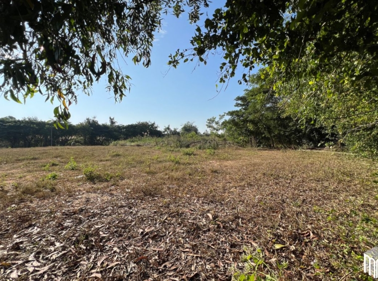 Property id208ls Land for sale in San Sai 1-1-65 sq.wa  near Meajo University-MR-209LS