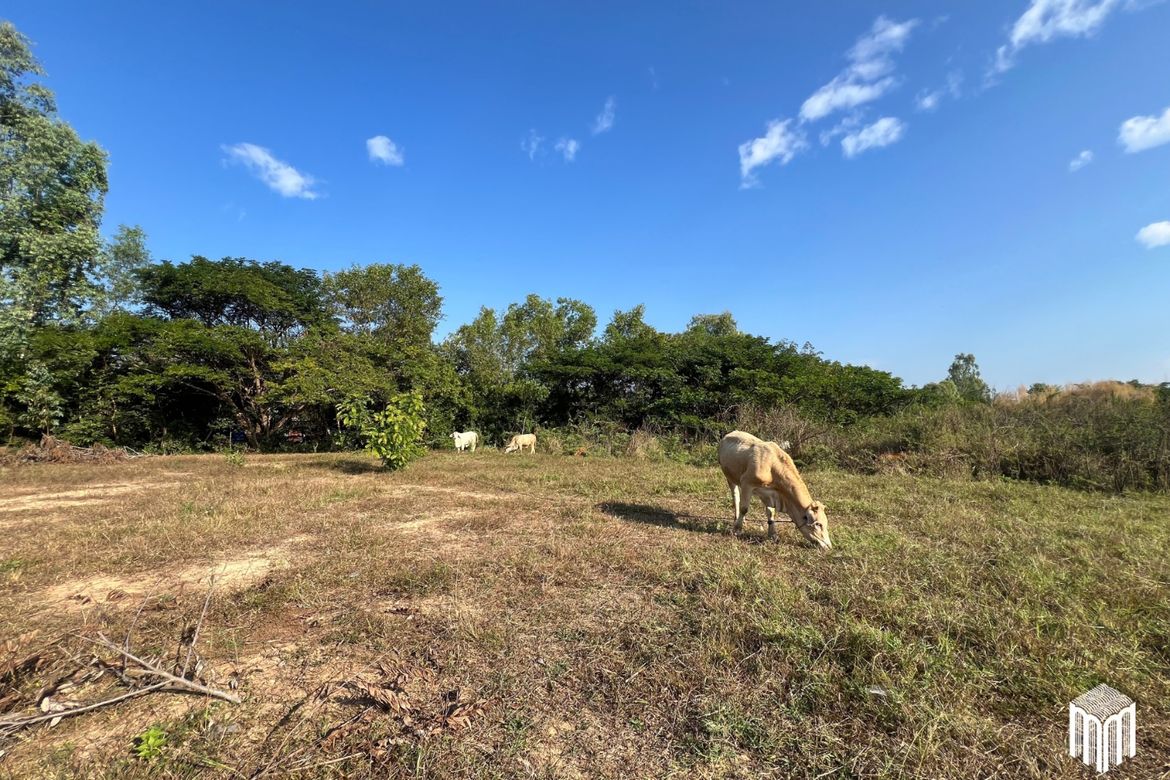 Property id208ls Land for sale in San Sai 1-1-65 sq.wa  near Meajo University-MR-209LS