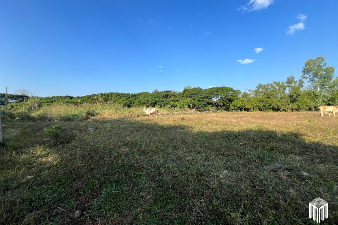 Property id208ls Land for sale in San Sai 1-1-65 sq.wa  near Meajo University-MR-209LS