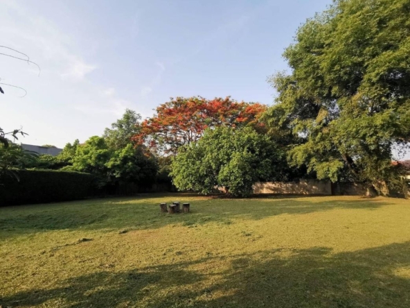 A nice plot ready to build for sale in Muang Chiang Mai-P-PLS928