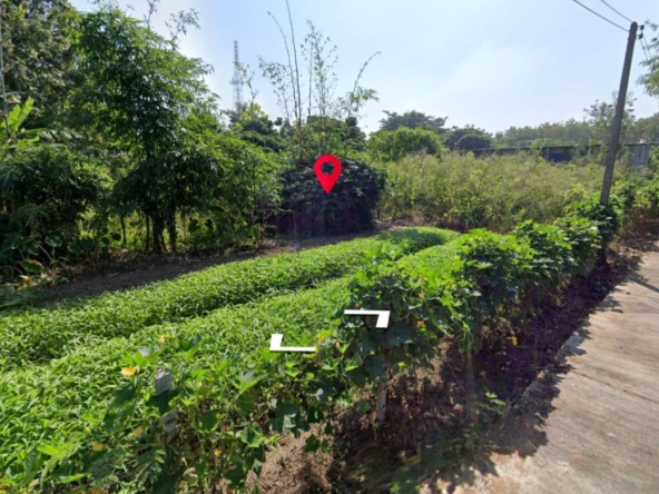 Property id016ls Land for sale in Saraphi 2- 0- 63 Rai  near Wat Ko Prajamhong-MR-016ls