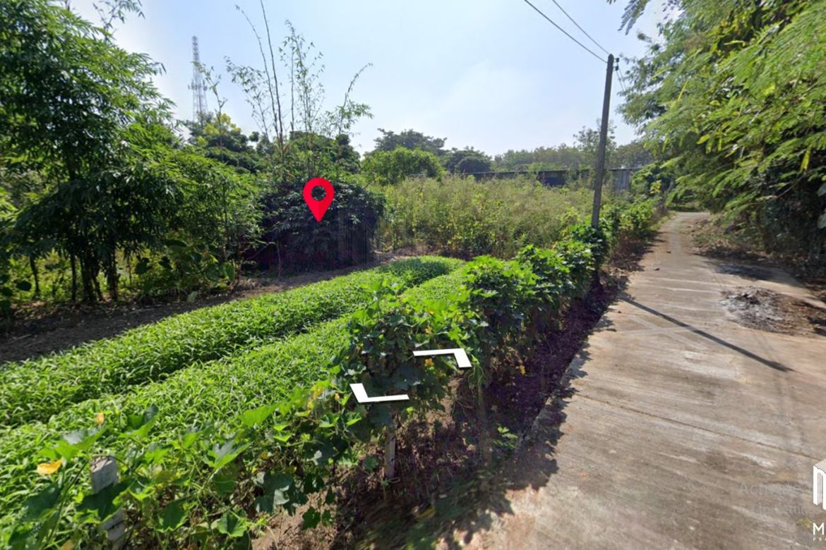 Property id016ls Land for sale in Saraphi 2- 0- 63 Rai  near Wat Ko Prajamhong-MR-016ls