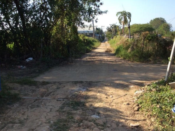 Property id016ls Land for sale in Saraphi 2- 0- 63 Rai  near Wat Ko Prajamhong-MR-016ls