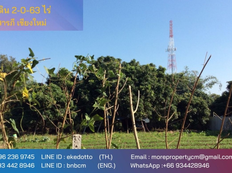 Property id016ls Land for sale in Saraphi 2- 0- 63 Rai  near Wat Ko Prajamhong-MR-016ls