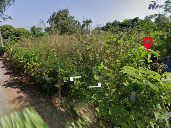 Property id016ls Land for sale in Saraphi 2- 0- 63 Rai  near Wat Ko Prajamhong-MR-016ls