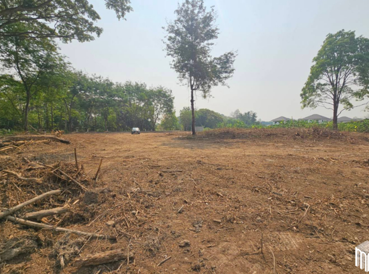 Property id  224LS Land for sale in Saraphi 1Rai 3Ngan 96sq.wa.  near Global House Wiang Kum Kam-MR-224LS