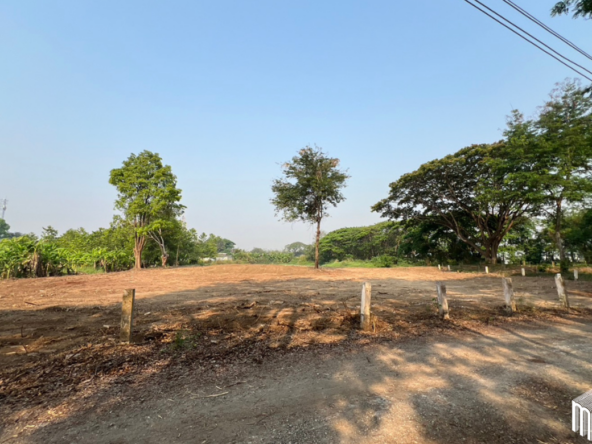 Property id  224LS Land for sale in Saraphi 1Rai 3Ngan 96sq.wa.  near Global House Wiang Kum Kam-MR-224LS