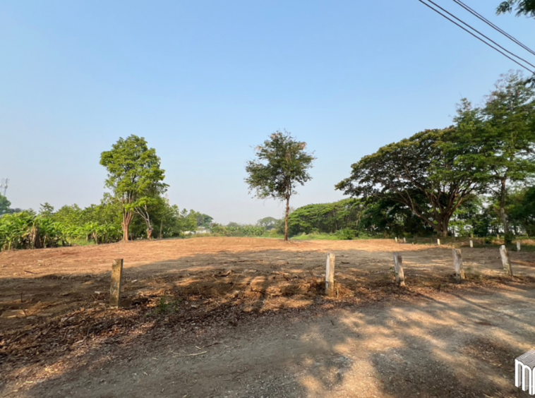 Property id  224LS Land for sale in Saraphi 1Rai 3Ngan 96sq.wa.  near Global House Wiang Kum Kam-MR-224LS