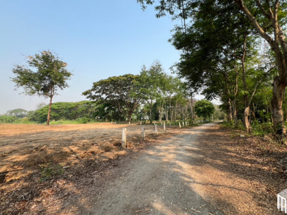 Property id  224LS Land for sale in Saraphi 1Rai 3Ngan 96sq.wa.  near Global House Wiang Kum Kam-MR-224LS