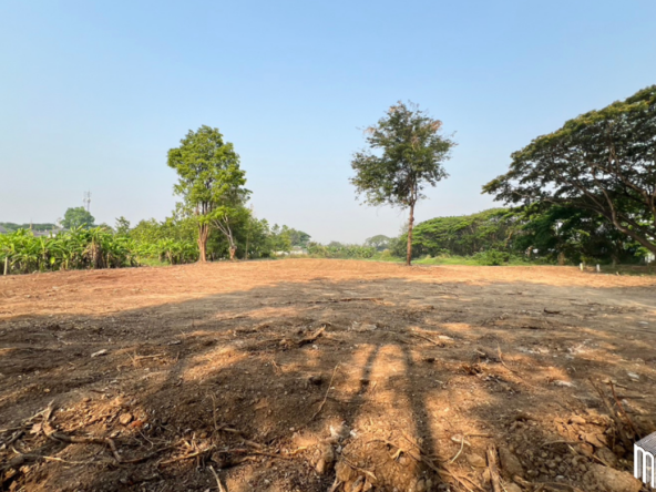 Property id  224LS Land for sale in Saraphi 1Rai 3Ngan 96sq.wa.  near Global House Wiang Kum Kam-MR-224LS