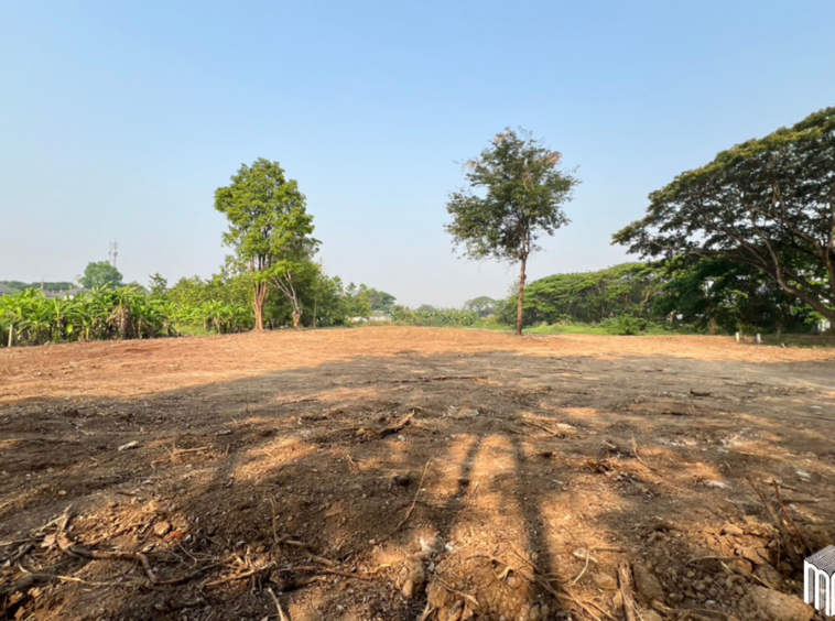 Property id  224LS Land for sale in Saraphi 1Rai 3Ngan 96sq.wa.  near Global House Wiang Kum Kam-MR-224LS