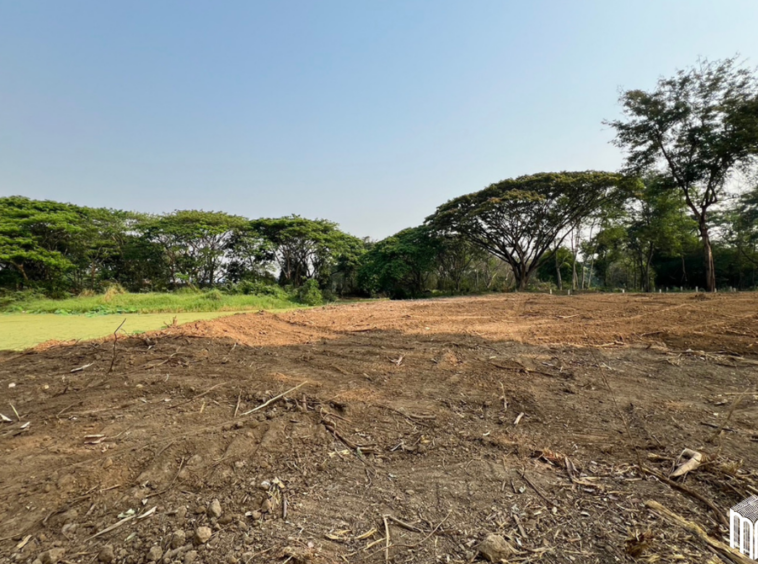 Property id  224LS Land for sale in Saraphi 1Rai 3Ngan 96sq.wa.  near Global House Wiang Kum Kam-MR-224LS