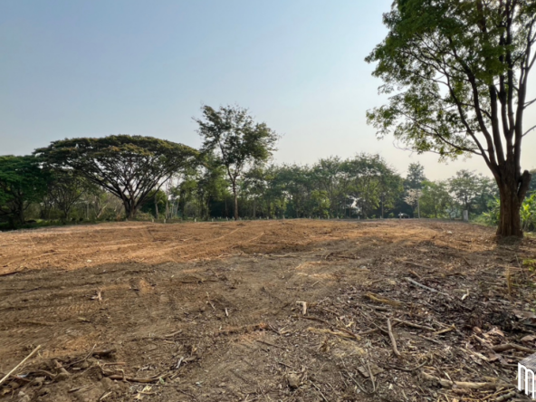 Property id  224LS Land for sale in Saraphi 1Rai 3Ngan 96sq.wa.  near Global House Wiang Kum Kam-MR-224LS