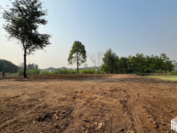 Property id  224LS Land for sale in Saraphi 1Rai 3Ngan 96sq.wa.  near Global House Wiang Kum Kam-MR-224LS