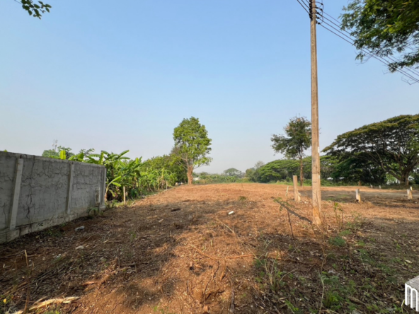 Property id  224LS Land for sale in Saraphi 1Rai 3Ngan 96sq.wa.  near Global House Wiang Kum Kam-MR-224LS