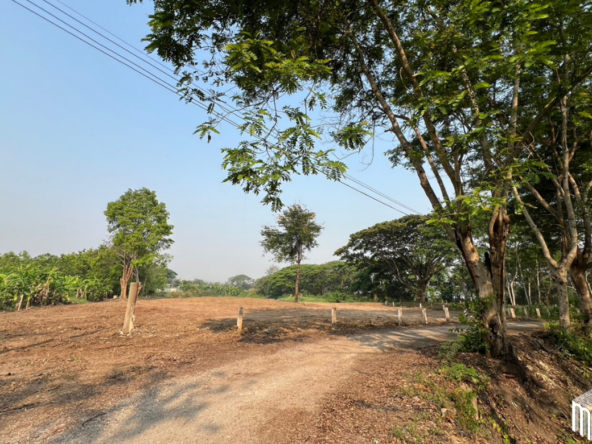 Property id  224LS Land for sale in Saraphi 1Rai 3Ngan 96sq.wa.  near Global House Wiang Kum Kam-MR-224LS