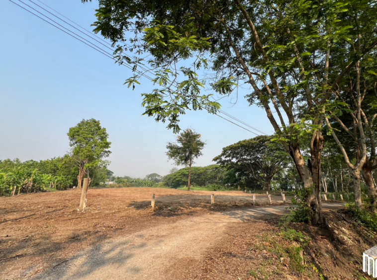 Property id  224LS Land for sale in Saraphi 1Rai 3Ngan 96sq.wa.  near Global House Wiang Kum Kam-MR-224LS