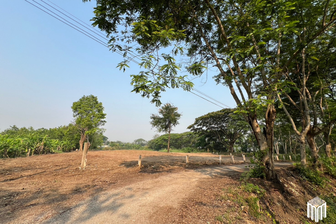 Property id  224LS Land for sale in Saraphi 1Rai 3Ngan 96sq.wa.  near Global House Wiang Kum Kam-MR-224LS