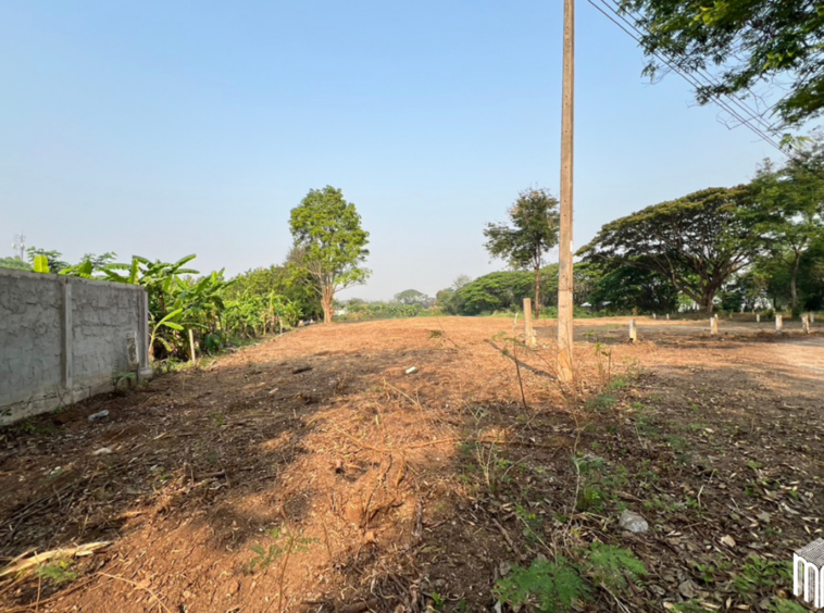 Property id  224LS Land for sale in Saraphi 1Rai 3Ngan 96sq.wa.  near Global House Wiang Kum Kam-MR-224LS