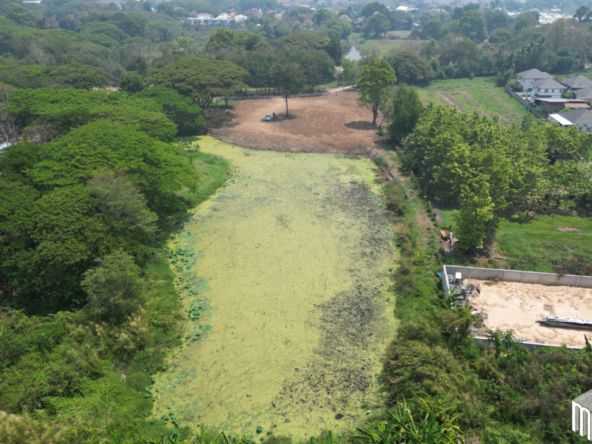 Property id  224LS Land for sale in Saraphi 1Rai 3Ngan 96sq.wa.  near Global House Wiang Kum Kam-MR-224LS