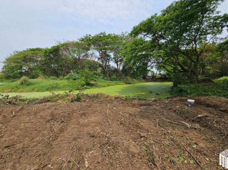 Property id  224LS Land for sale in Saraphi 1Rai 3Ngan 96sq.wa.  near Global House Wiang Kum Kam-MR-224LS