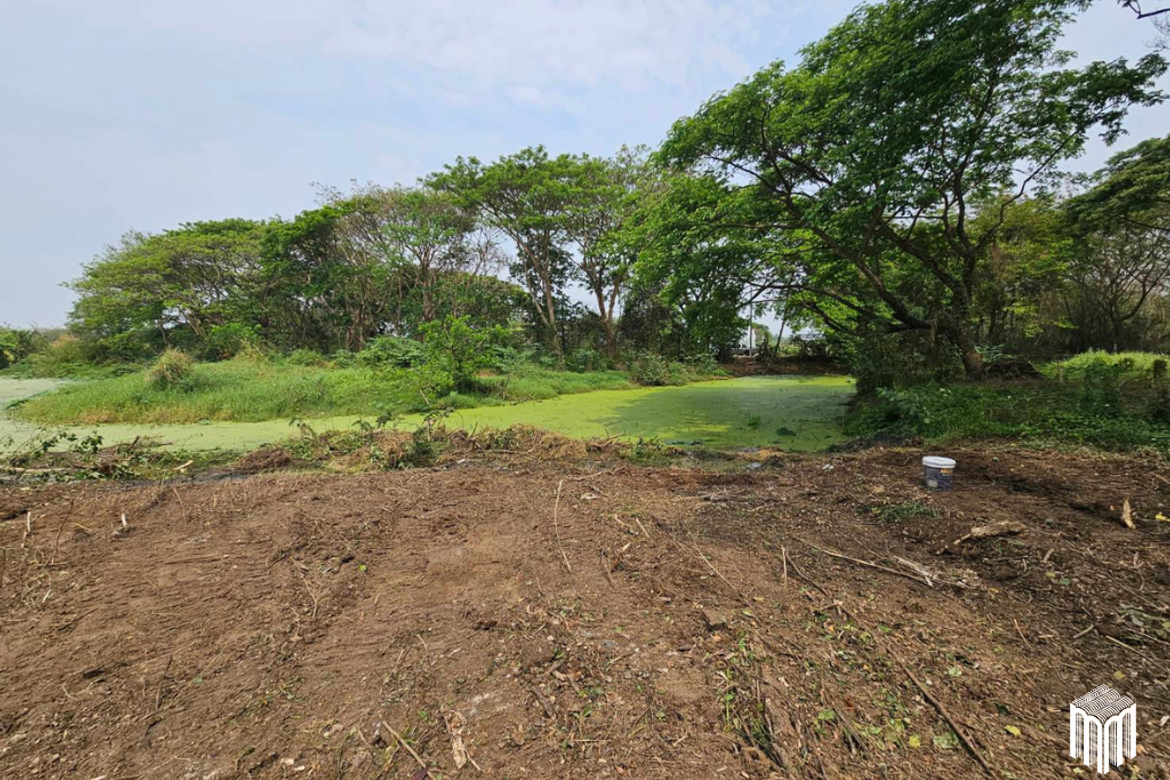 Property id  224LS Land for sale in Saraphi 1Rai 3Ngan 96sq.wa.  near Global House Wiang Kum Kam-MR-224LS