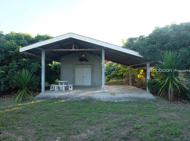 Beautiful 8-acre land plot with a lychee orchard