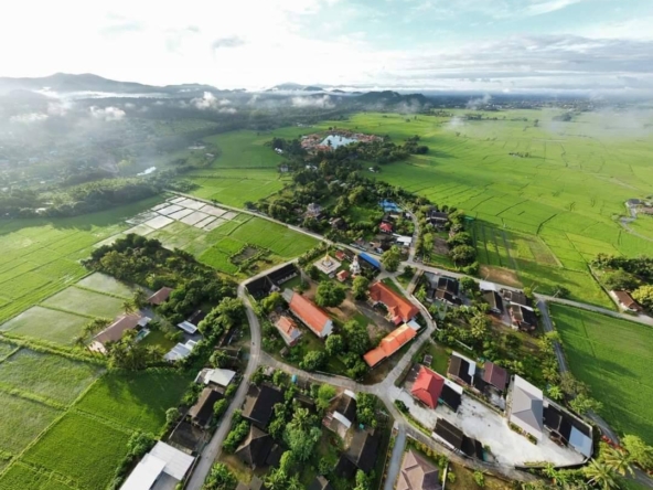 12 Rai of rice paddy field for sale in Doi Saket-SHG-LS101