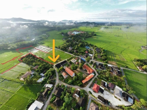 12 Rai of rice paddy field for sale in Doi Saket-SHG-LS101