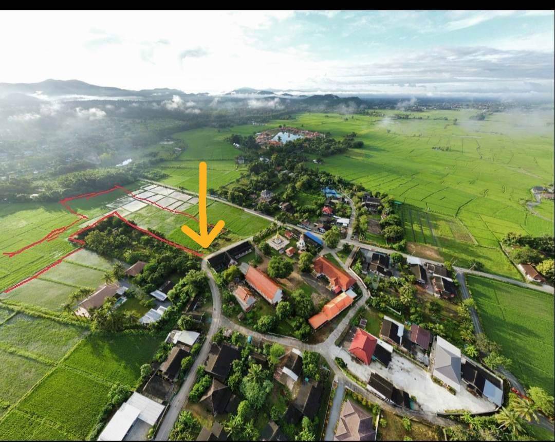 12 Rai of rice paddy field for sale in Doi Saket-SHG-LS101