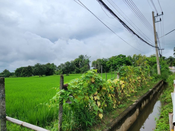 72 Rai of land for sale in Doi Saket-SHG-LS98