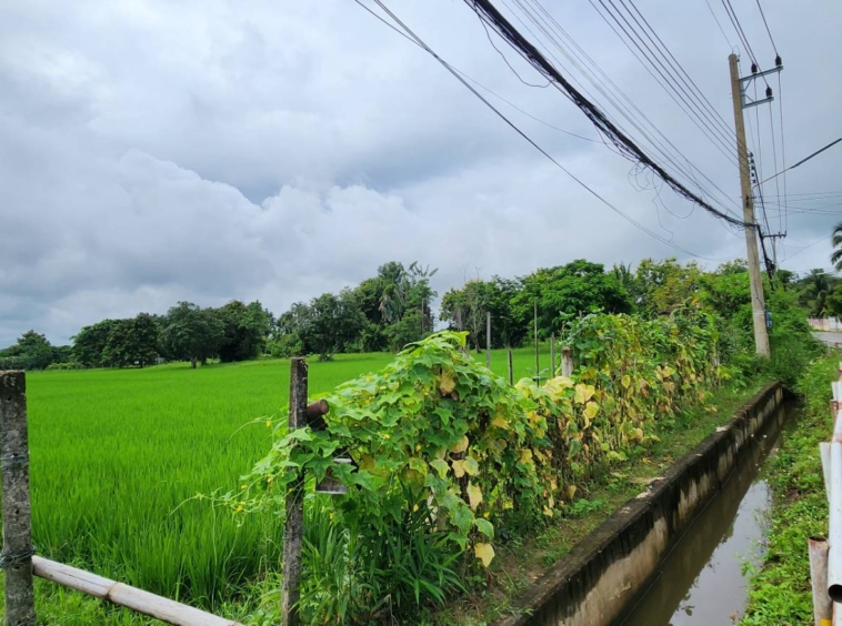 72 Rai of land for sale in Doi Saket-SHG-LS98