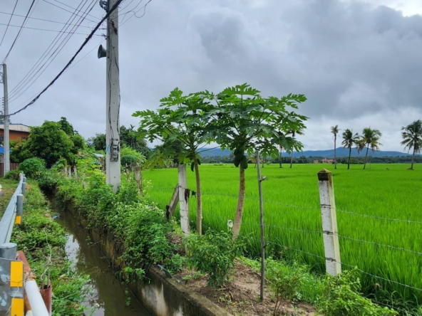 72 Rai of land for sale in Doi Saket-SHG-LS98