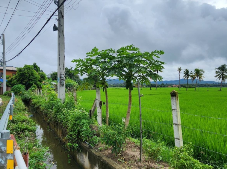 72 Rai of land for sale in Doi Saket-SHG-LS98