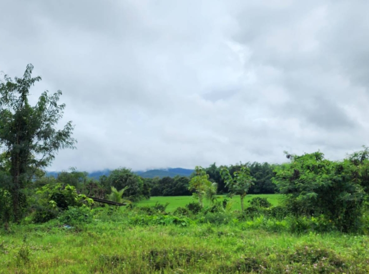 72 Rai of land for sale in Doi Saket-SHG-LS98